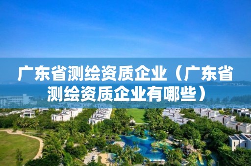 廣東省測繪資質(zhì)企業(yè)（廣東省測繪資質(zhì)企業(yè)有哪些）