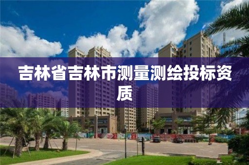 吉林省吉林市測量測繪投標資質