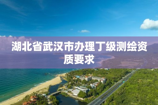 湖北省武漢市辦理丁級(jí)測繪資質(zhì)要求