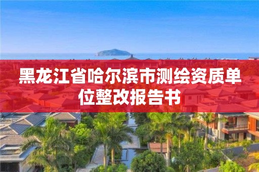 黑龍江省哈爾濱市測繪資質單位整改報告書