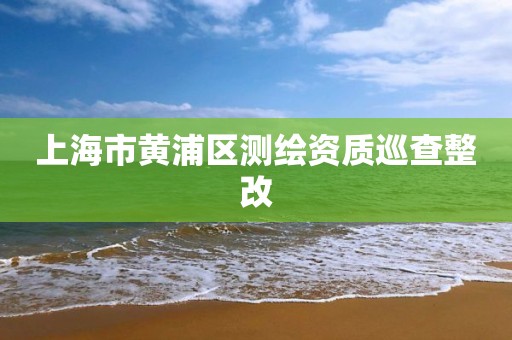 上海市黃浦區測繪資質巡查整改