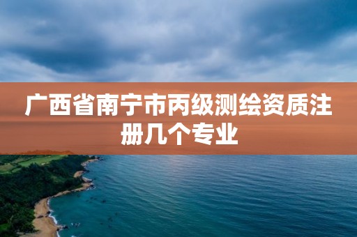 廣西省南寧市丙級測繪資質注冊幾個專業