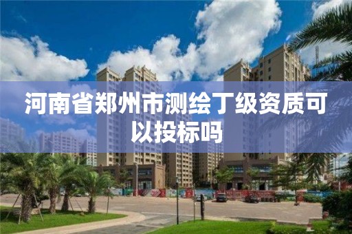 河南省鄭州市測繪丁級資質可以投標嗎