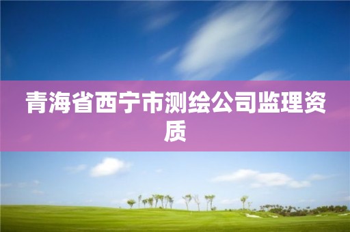 青海省西寧市測繪公司監理資質