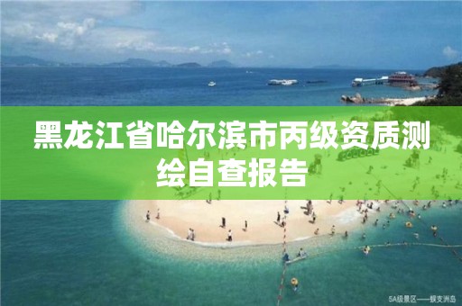 黑龍江省哈爾濱市丙級資質測繪自查報告