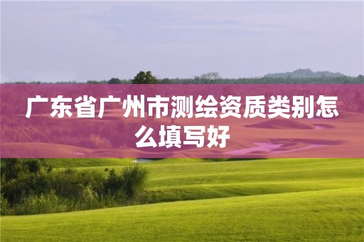 廣東省廣州市測(cè)繪資質(zhì)類(lèi)別怎么填寫(xiě)好