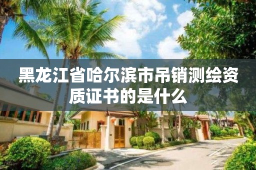 黑龍江省哈爾濱市吊銷測繪資質(zhì)證書的是什么