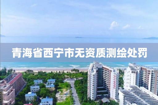 青海省西寧市無資質測繪處罰