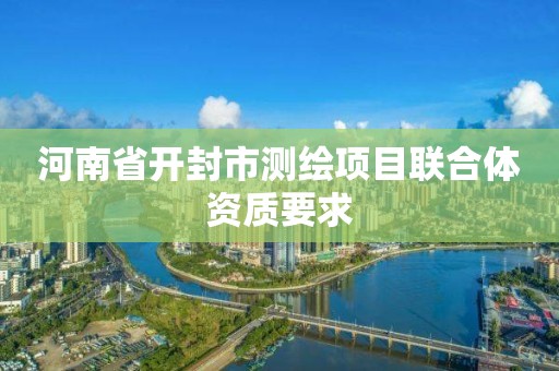 河南省開封市測繪項目聯合體資質要求