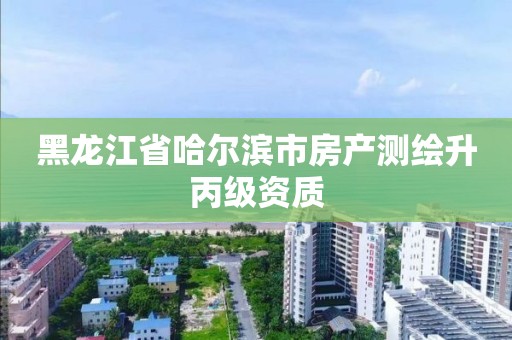 黑龍江省哈爾濱市房產測繪升丙級資質