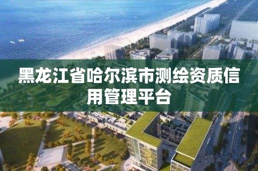 黑龍江省哈爾濱市測(cè)繪資質(zhì)信用管理平臺(tái)