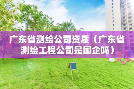 廣東省測繪公司資質（廣東省測繪工程公司是國企嗎）