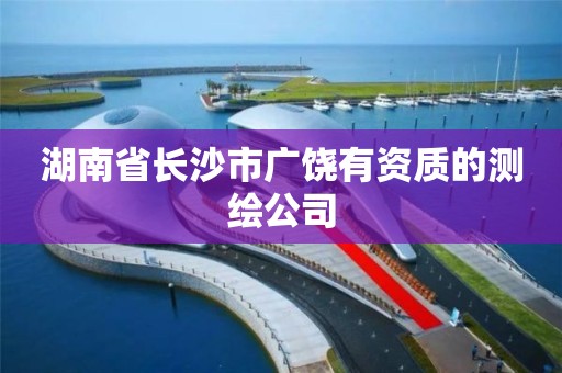 湖南省長沙市廣饒有資質的測繪公司