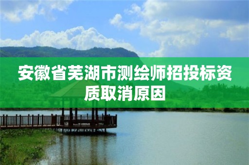 安徽省蕪湖市測繪師招投標資質取消原因