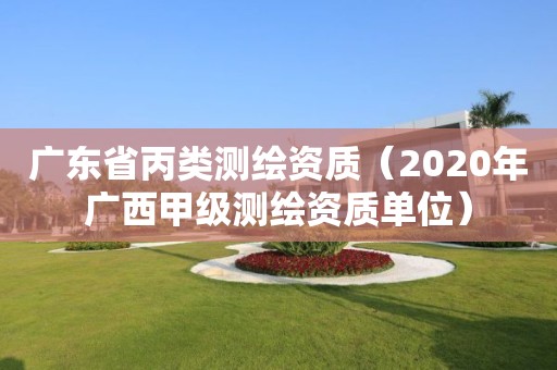 廣東省丙類測繪資質（2020年廣西甲級測繪資質單位）