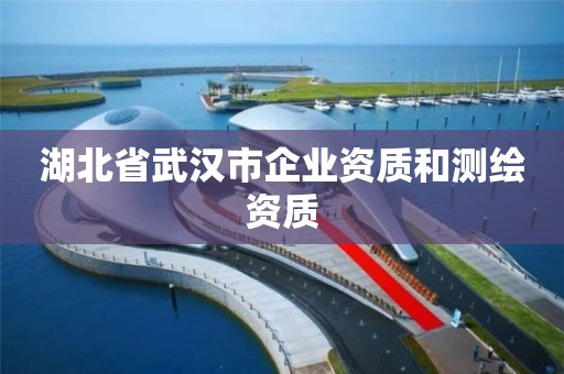 湖北省武漢市企業(yè)資質(zhì)和測繪資質(zhì)