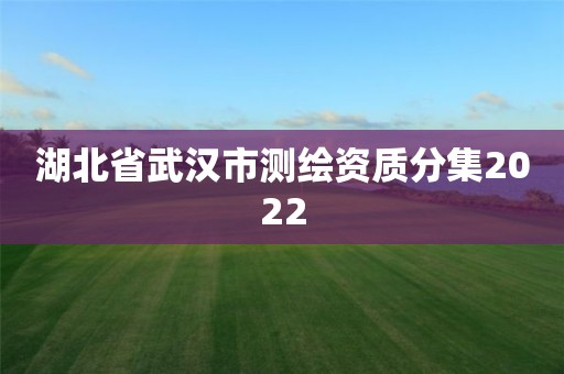 湖北省武漢市測繪資質分集2022