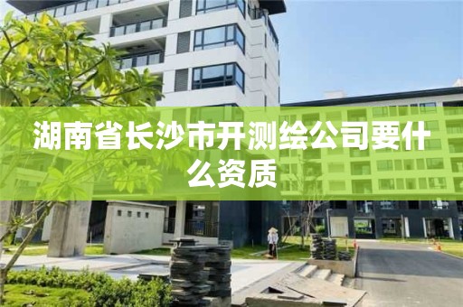 湖南省長沙市開測繪公司要什么資質