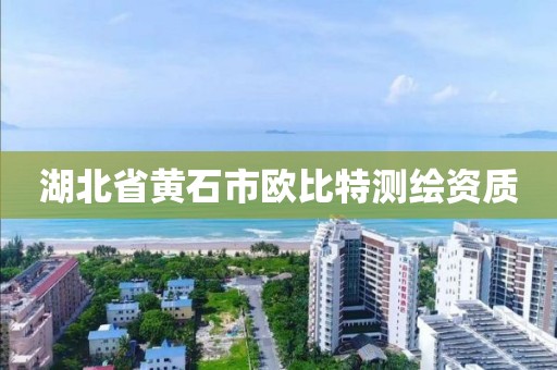 湖北省黃石市歐比特測繪資質(zhì)