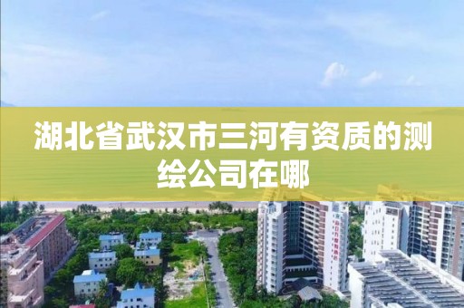 湖北省武漢市三河有資質的測繪公司在哪