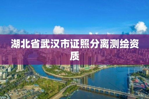 湖北省武漢市證照分離測繪資質