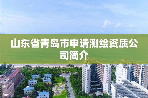 山東省青島市申請測繪資質(zhì)公司簡介