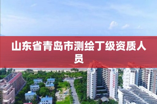 山東省青島市測繪丁級資質人員