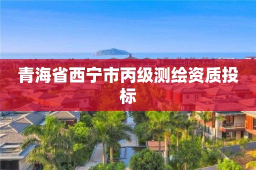 青海省西寧市丙級測繪資質(zhì)投標(biāo)