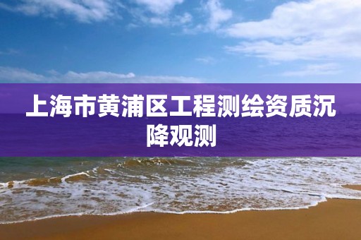 上海市黃浦區工程測繪資質沉降觀測