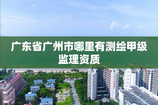 廣東省廣州市哪里有測繪甲級監理資質