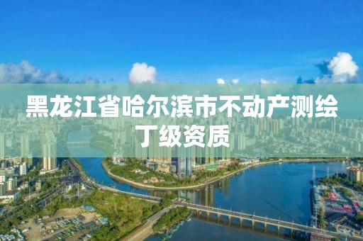 黑龍江省哈爾濱市不動產測繪丁級資質