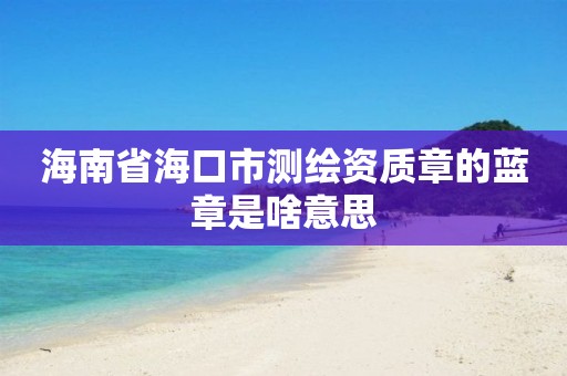 海南省海口市測繪資質章的藍章是啥意思