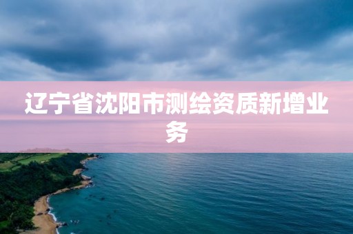 遼寧省沈陽市測繪資質新增業務