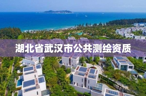 湖北省武漢市公共測繪資質(zhì)