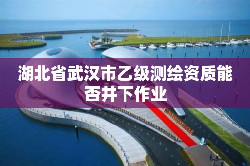 湖北省武漢市乙級測繪資質(zhì)能否井下作業(yè)