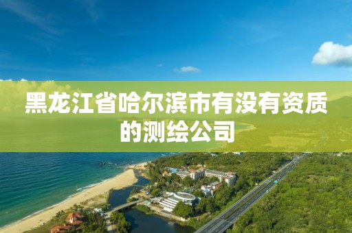 黑龍江省哈爾濱市有沒有資質的測繪公司