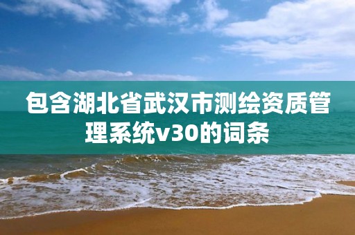 包含湖北省武漢市測繪資質管理系統v30的詞條