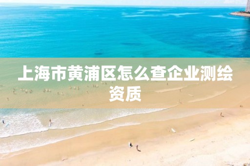 上海市黃浦區怎么查企業測繪資質