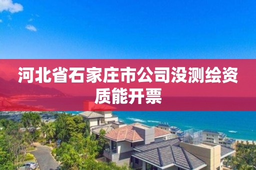 河北省石家莊市公司沒測繪資質能開票