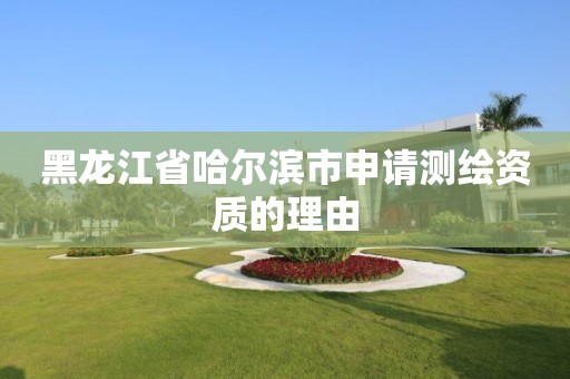 黑龍江省哈爾濱市申請測繪資質的理由