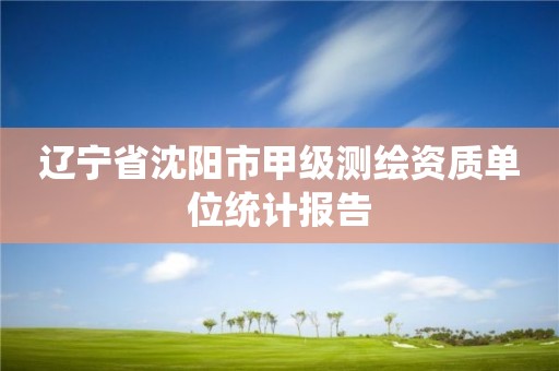 遼寧省沈陽市甲級測繪資質(zhì)單位統(tǒng)計報告