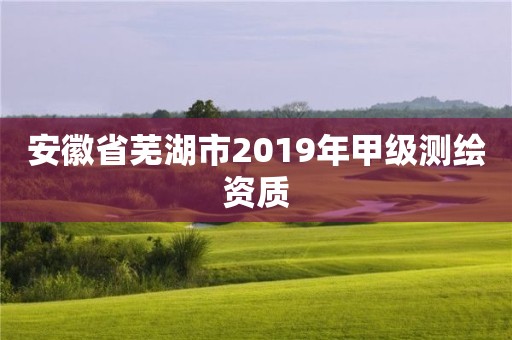 安徽省蕪湖市2019年甲級測繪資質