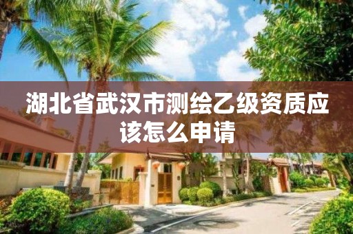 湖北省武漢市測繪乙級資質應該怎么申請