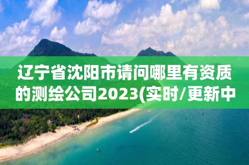 遼寧省沈陽市請問哪里有資質的測繪公司2023(實時/更新中)