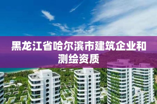 黑龍江省哈爾濱市建筑企業和測繪資質