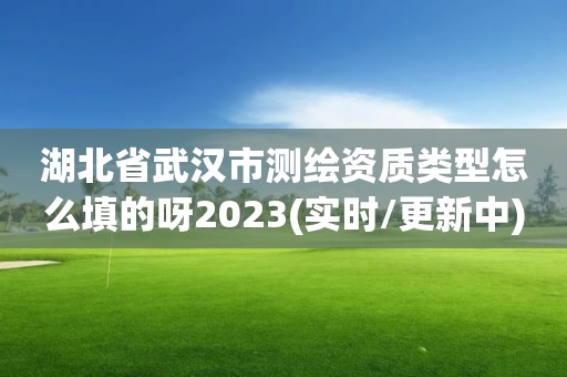 湖北省武漢市測繪資質類型怎么填的呀2023(實時/更新中)