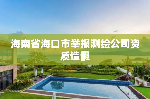 海南省海口市舉報測繪公司資質造假