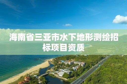 海南省三亞市水下地形測繪招標項目資質