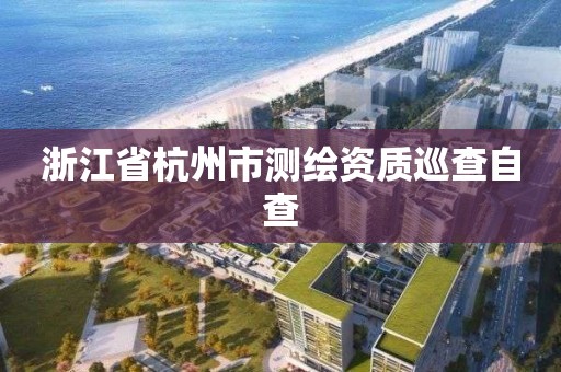 浙江省杭州市測繪資質巡查自查