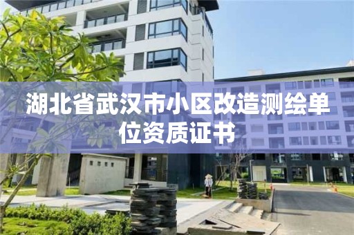 湖北省武漢市小區改造測繪單位資質證書